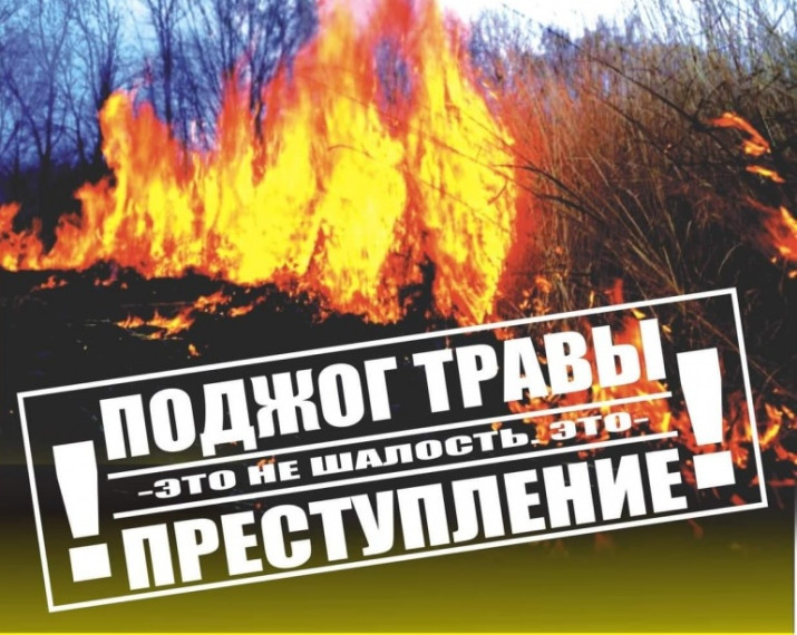 Горение сухой растительности – опасность не только для государства и людей, но и для экосистемы!.