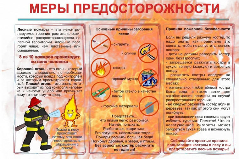 Безопасность жизнедеятельности. Пожарная безопасность..