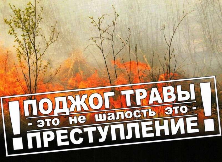 Поджог травы - это преступление!.